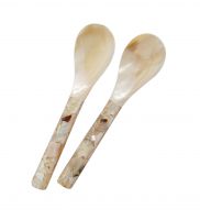 Handmade Natural Sea Shell Spoon